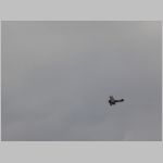 Flugtag _Lehrte_2010_193.jpg